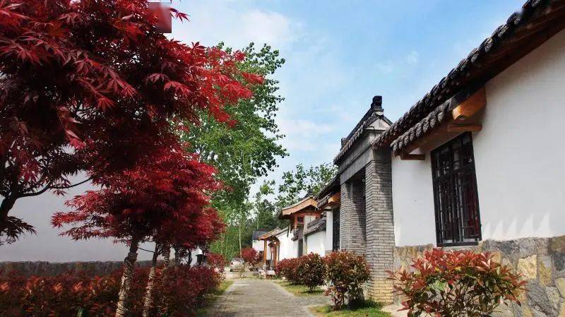 汊涧镇长山村金集镇草西村贫困户杨立强一家经过两次危房改造,再次住