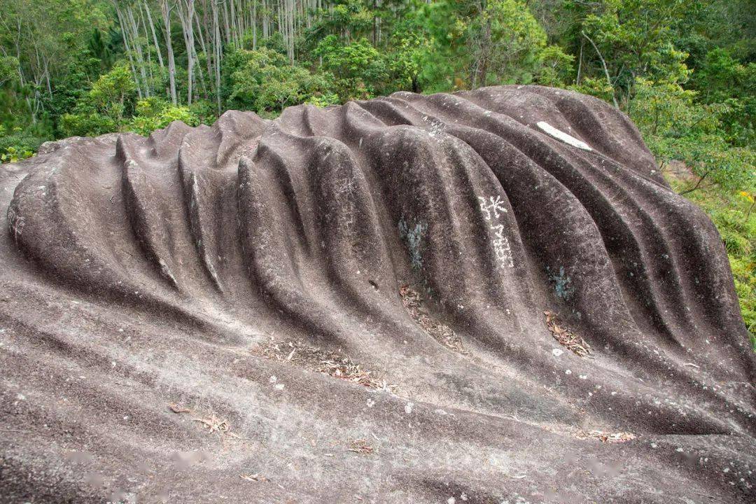 云霄探秘仙石一不小心走进国家森林乡村