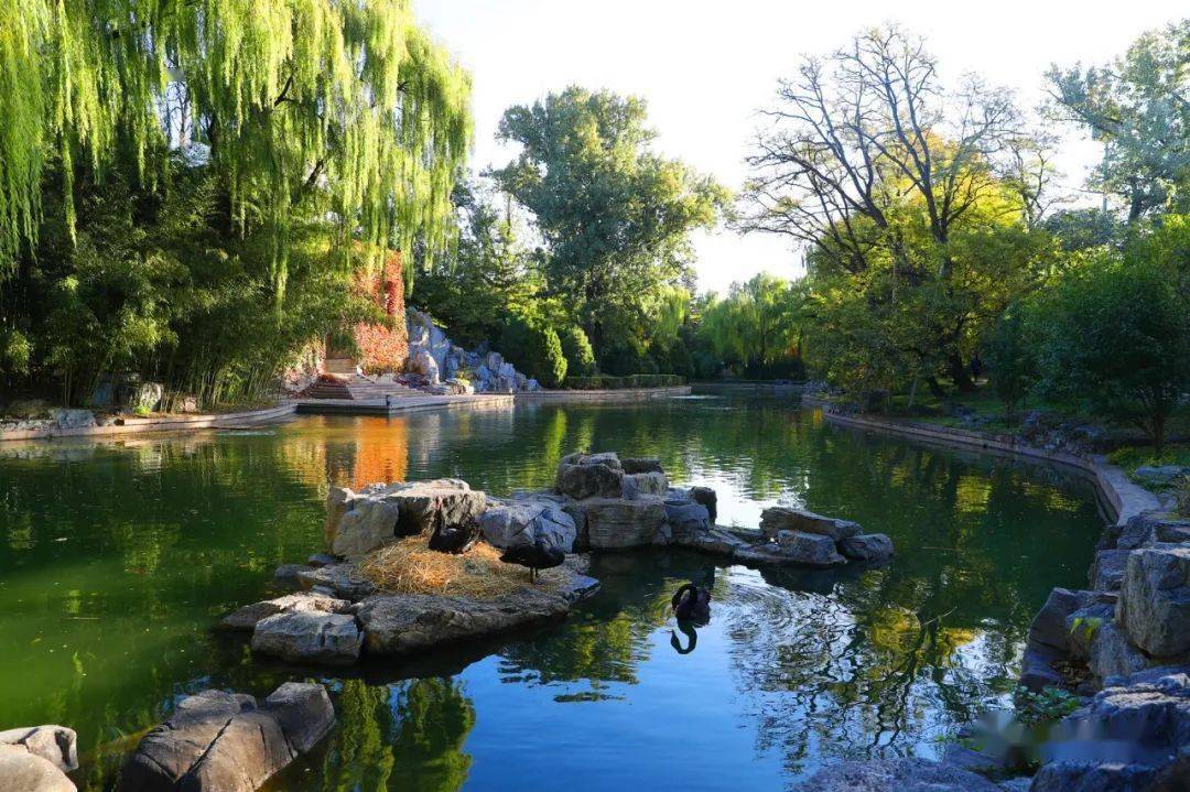 收藏 || 中央党校校园秋景