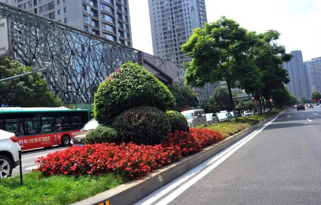 北京路中央绿化带端头整治提升完成 刘凯达 摄