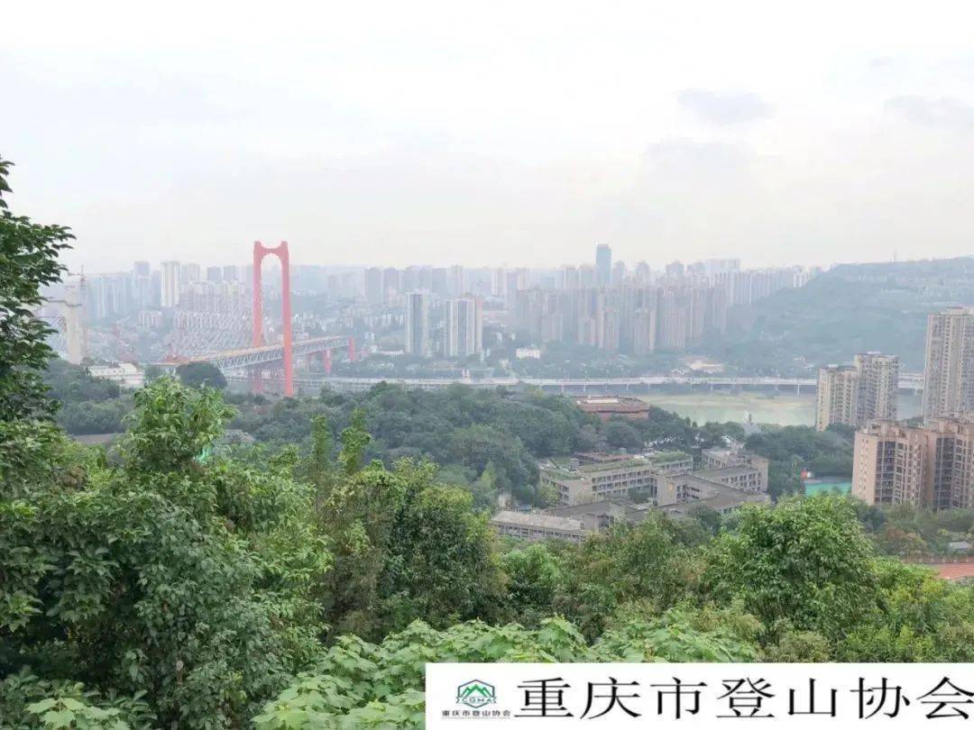 共同执行的重庆登山系列赛正式上线开赛,比赛线路包括大渡口金鳌山