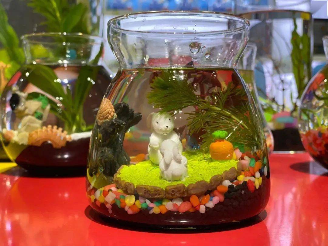 海洋馆diy生态瓶活动开始招募啦