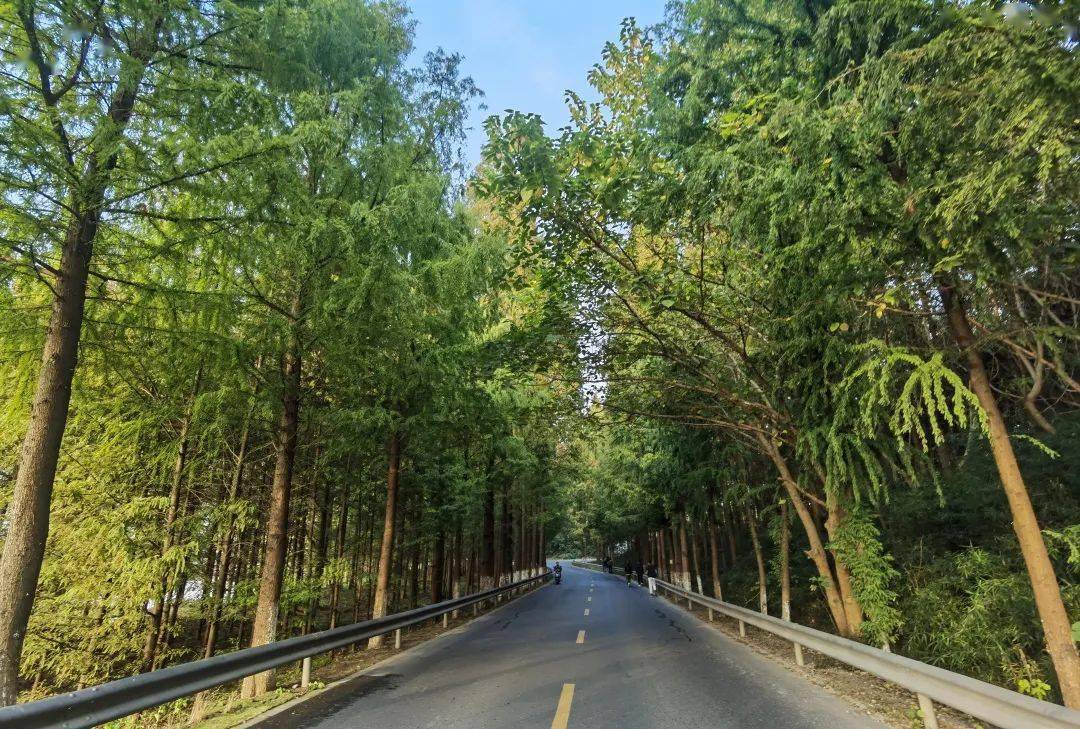 我在塘下公路等你!_手机搜狐网