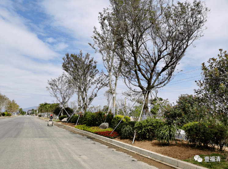 高清效果图曝光福清环城路再次升级