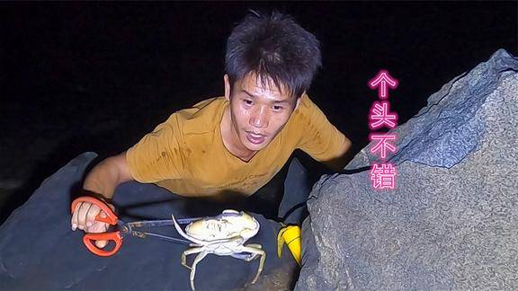 小志半夜赶海抓螃蟹顺着石头边就能找到比白天省力多了