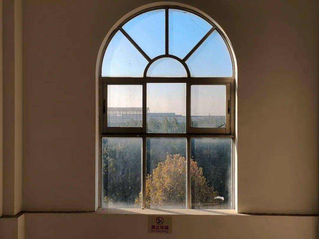 一扇窗温暖了四季