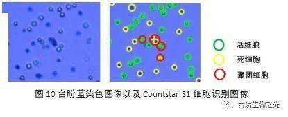 应用·鉴别死细胞和活细胞·检测细胞膜的完整性不知