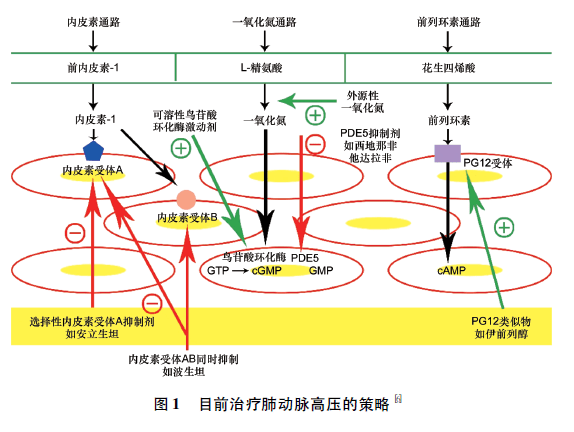 伐地那非治疗儿童肺动脉高压研究进展