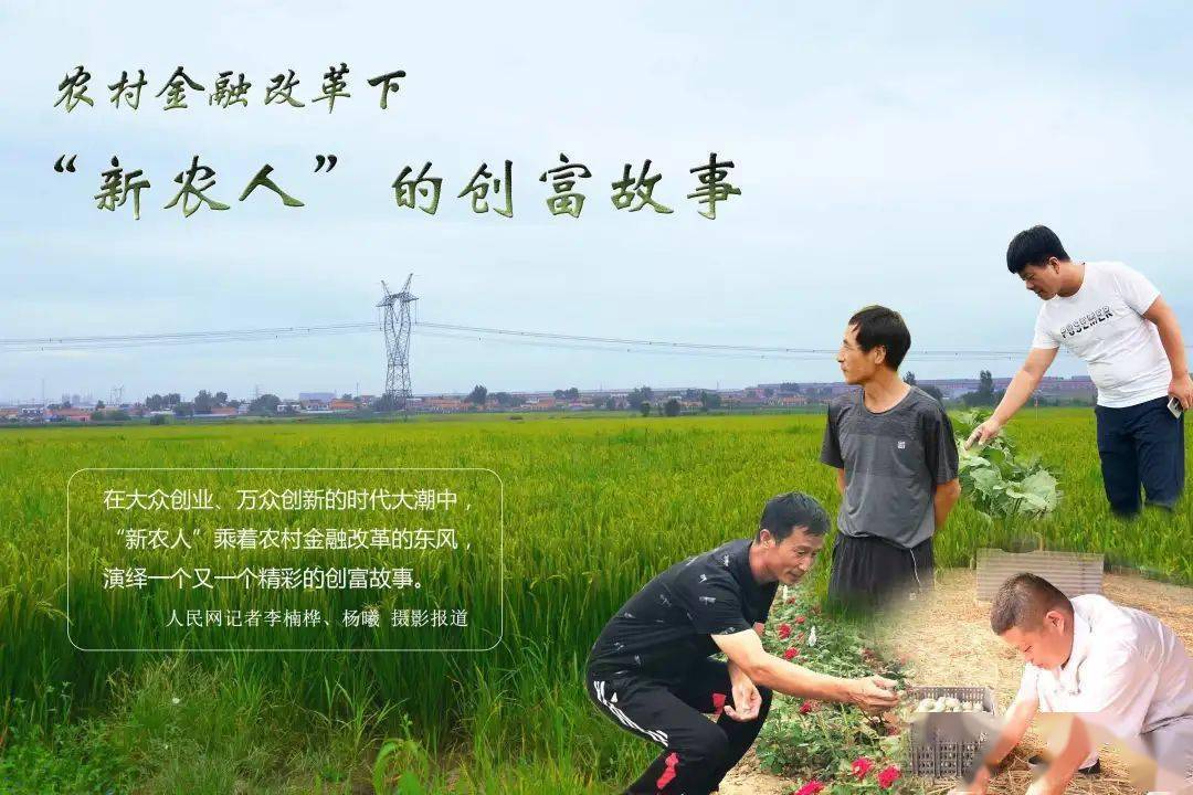 视点返乡新农人的身份认同与中国农业的变迁