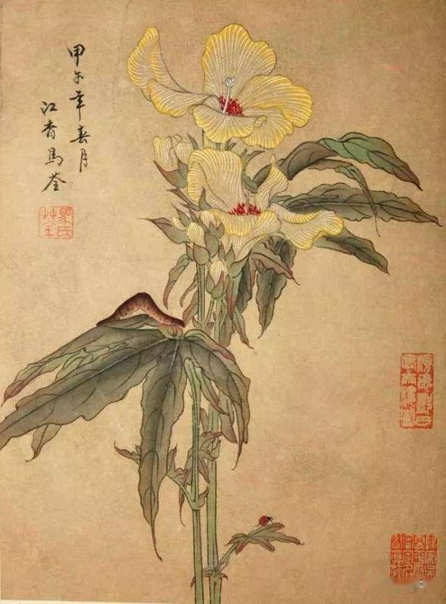 清代才女馬荃的國畫花鳥蟲草