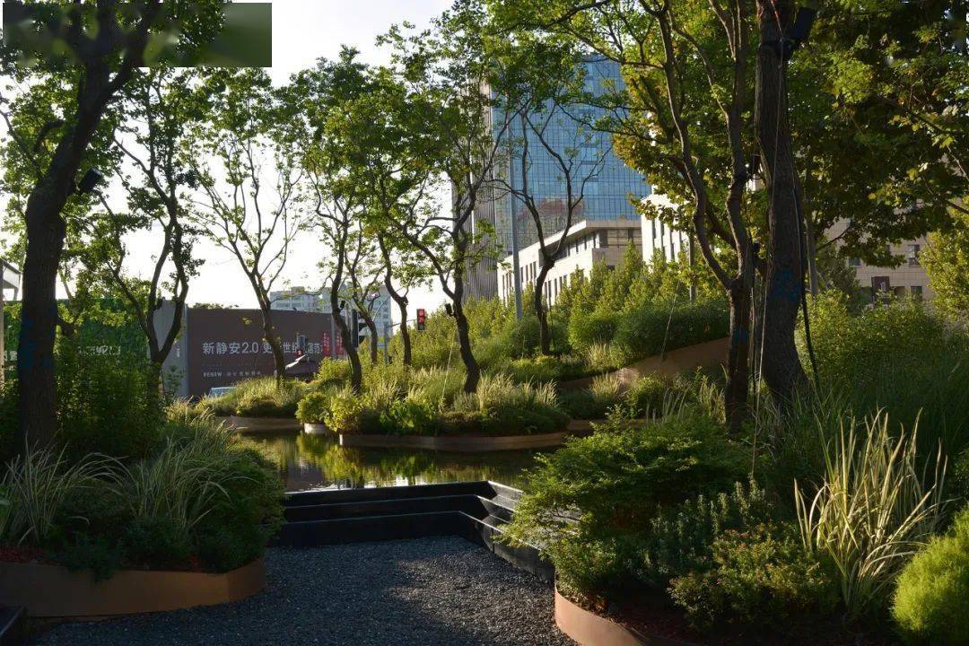 都市生机植物营造景观空间浅谈