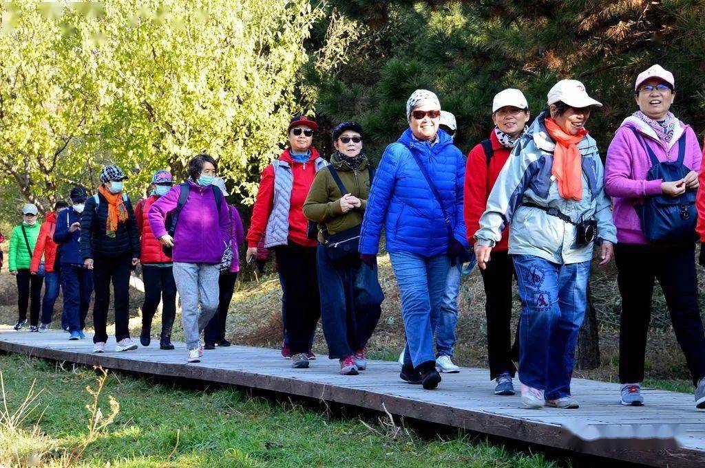 防疫在初冬,迈步保健康 ——颐和园分园健康大步走活动剪影_手机搜狐