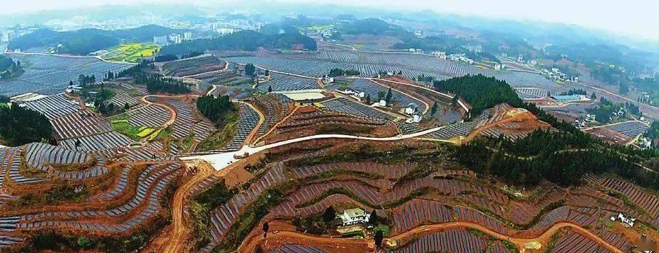 关注:南部这个村的,这下幸福了