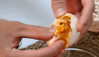 海鸭自由奔跑,戏水,自然放养的海鸭,个个肥美健壮,产出的鸭蛋,蛋黄晶