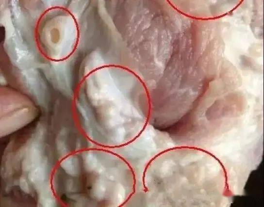 贵州查获4000多斤腐烂猪肉打开车厢恶臭阵阵