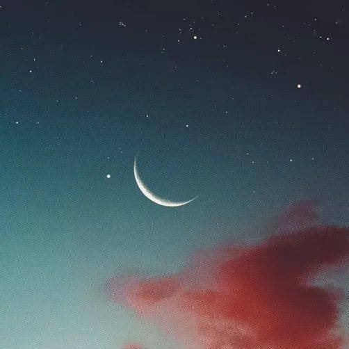 星与月谁才是你的心头好