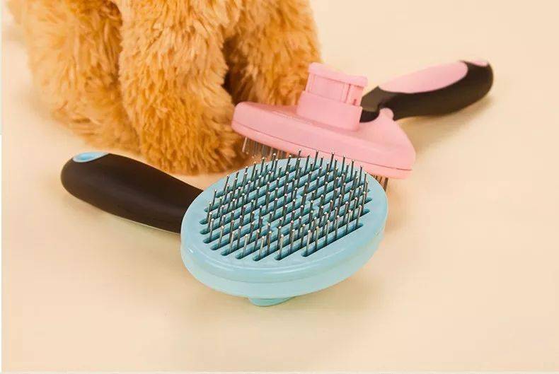 又是一年掉毛季快被狗毛逼疯了