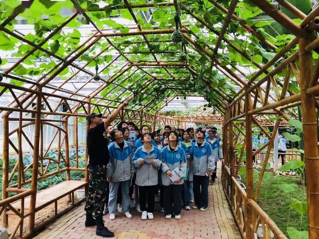 福建省漳浦第三中学高二年级东南花都研学实践活动有梦想不彷徨为青春