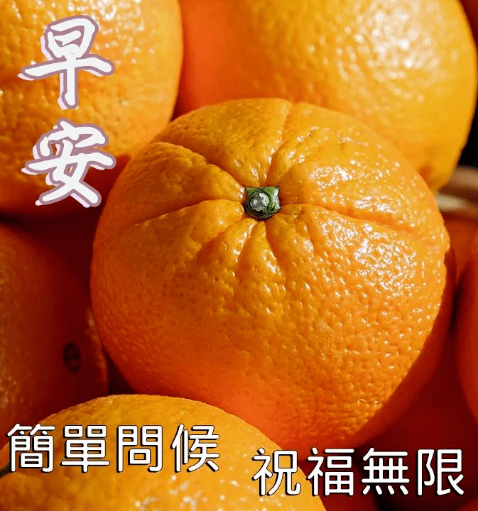 11月17日早上好问候语带图片星期二早安祝福语阳光图片表情大全