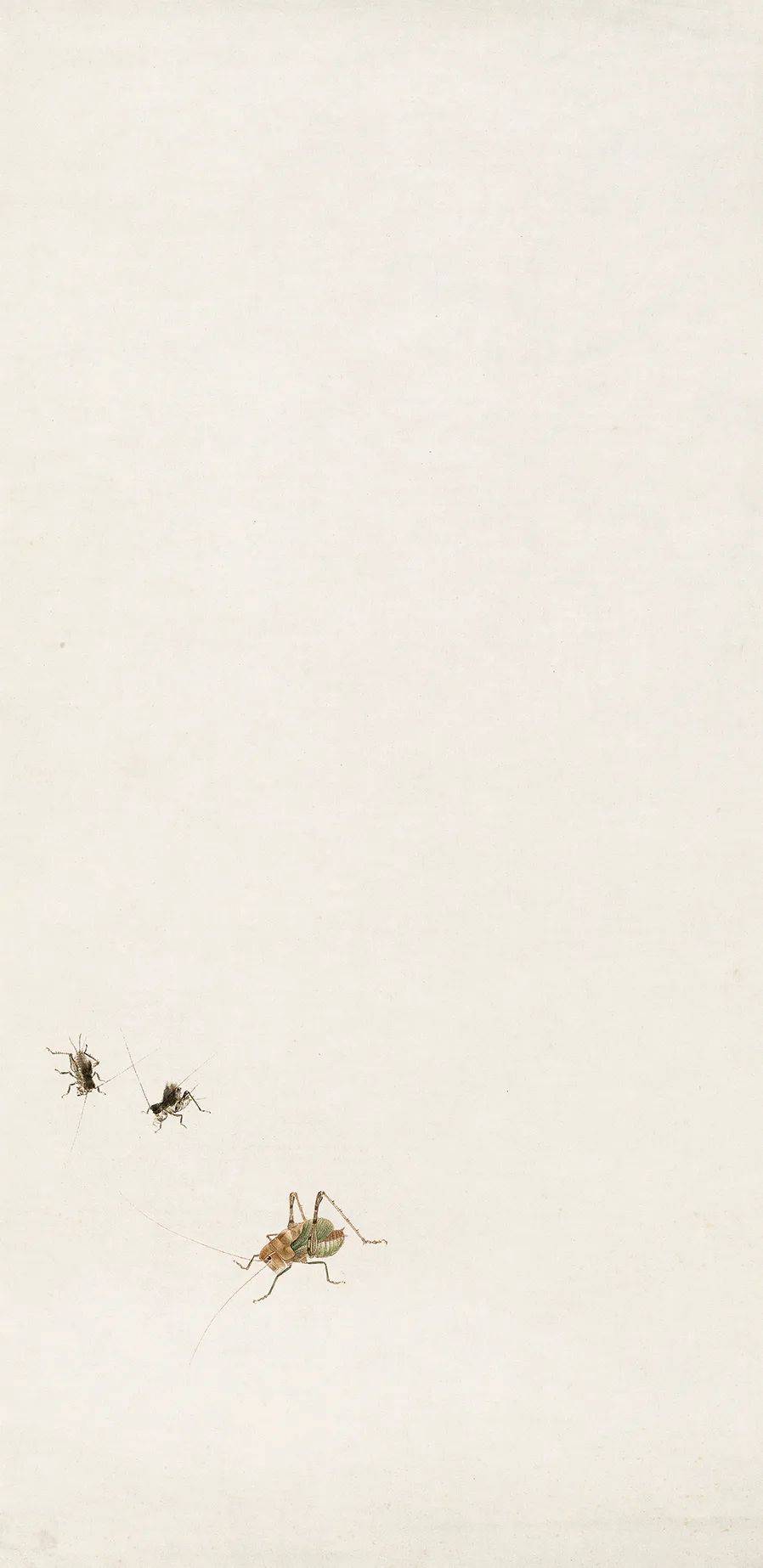 蝈蝈蟋蟀 齐白石 68.5cm×33.5cm 北京画院藏