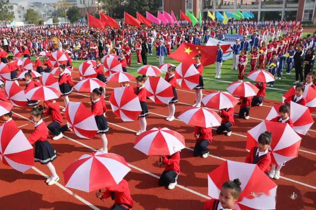 运动无限精彩 ——第二小学举行第十一届运动会开幕式_彩旗