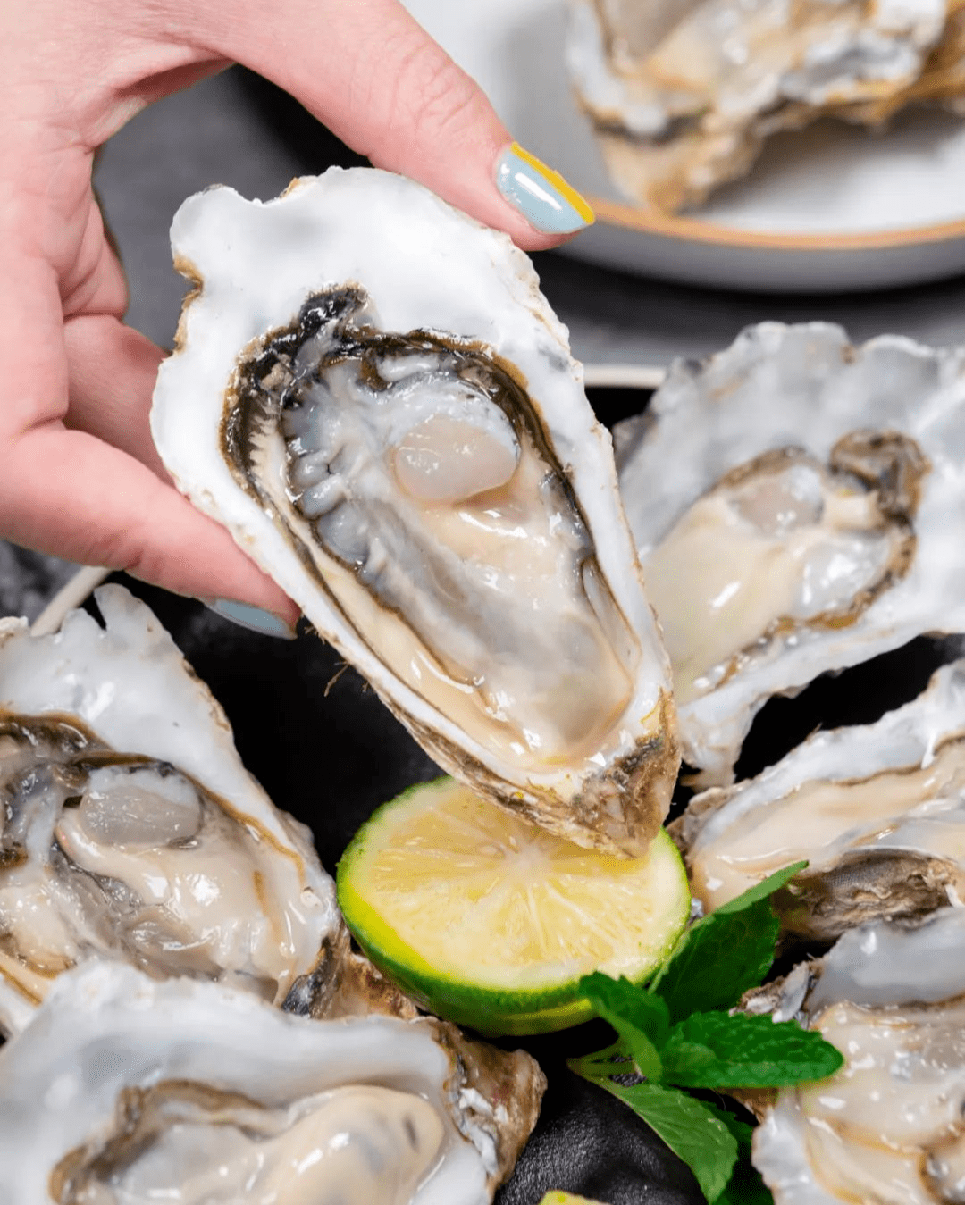 邻居购物北纬37鲜活生蚝现捕现捞肉质细嫩饱满产地新鲜直送周浦