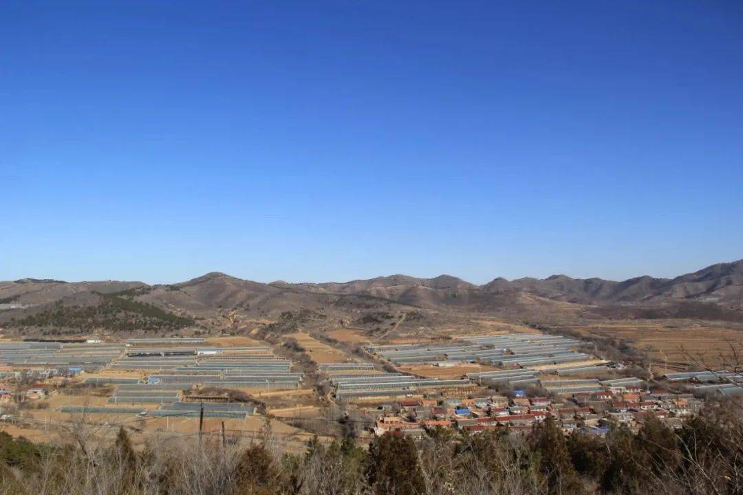 凌源穷山沟变金山沟飞地经济成亮点