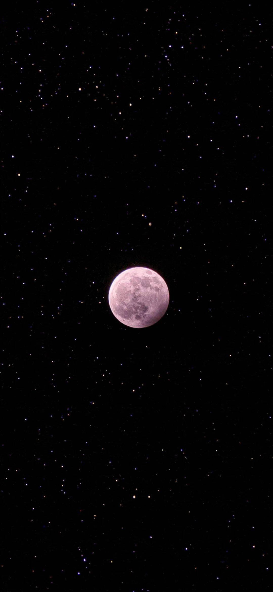 iphone壁纸抖音壁纸无水印