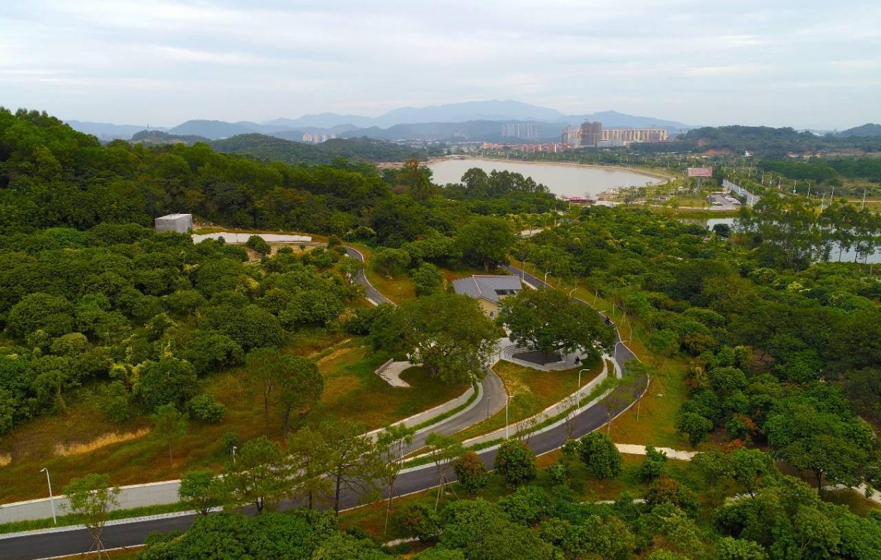 打卡正当时增城荔枝博览园开园迎客啦