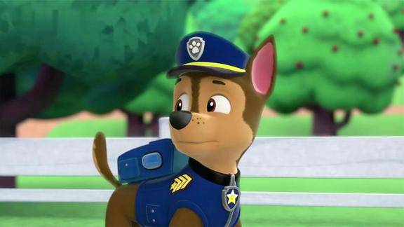 汪汪队狗狗们分工明确一起采摘水果阿奇感觉自己好多余