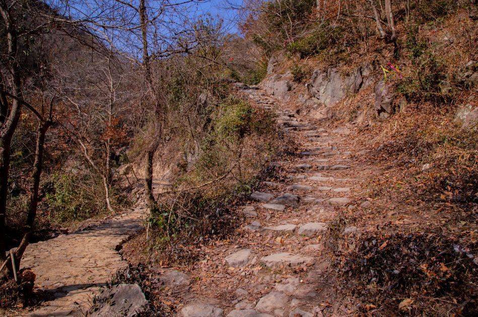 宁波11条新步道亮相,奉化这条正值秋色最美季节!_登山