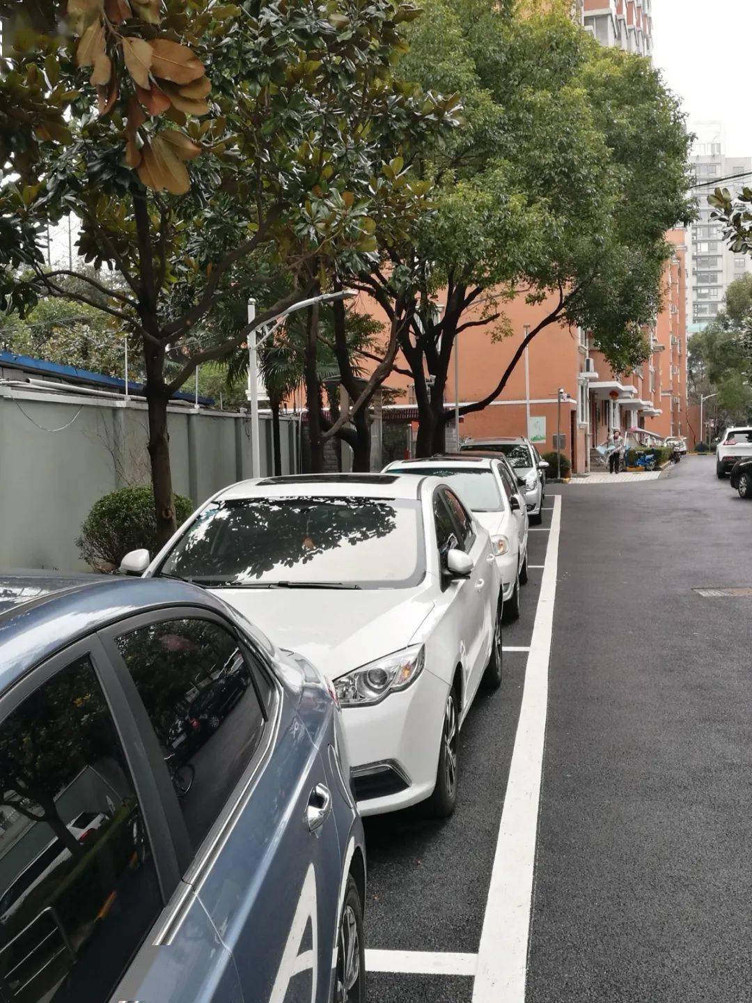 老旧小区停车难每天上演抢车位大战虹口这个小区有解决妙招