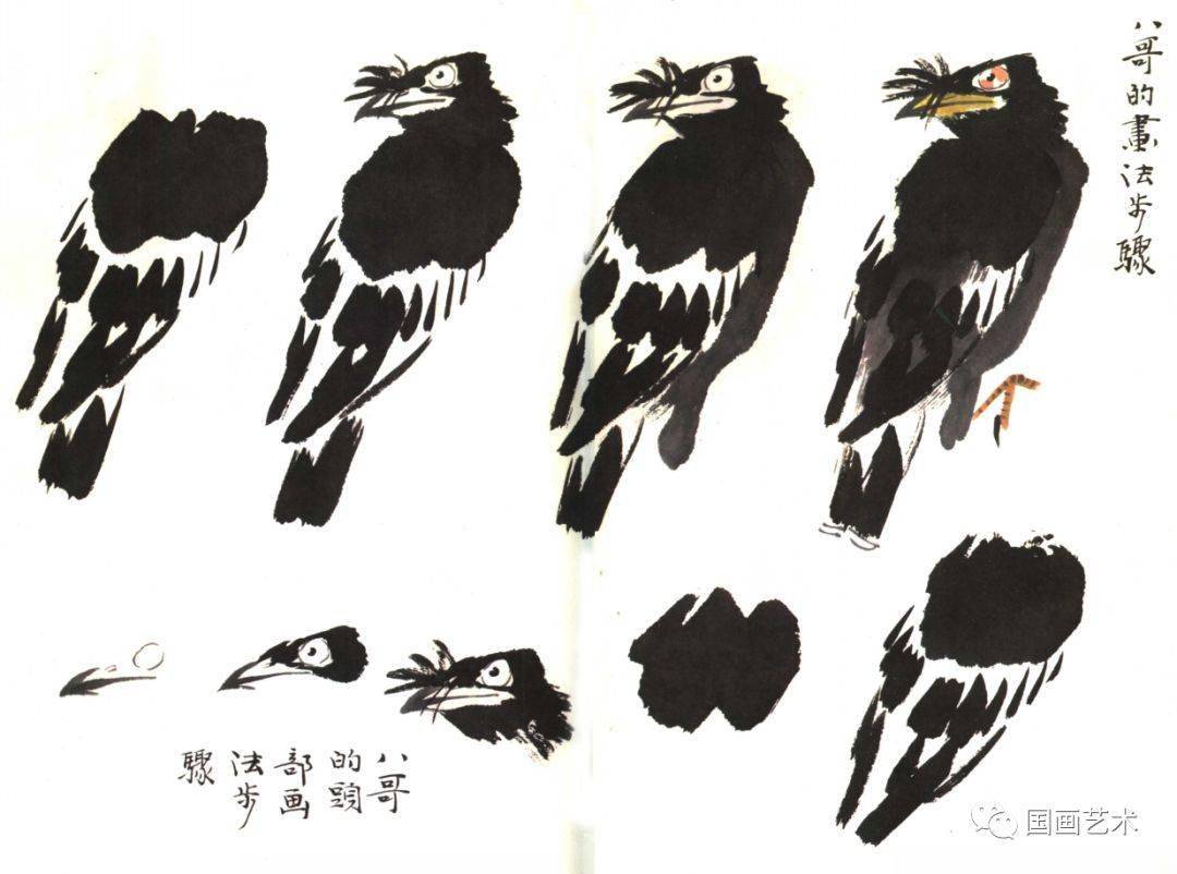 怎样画喜鹊,八哥,藤萝