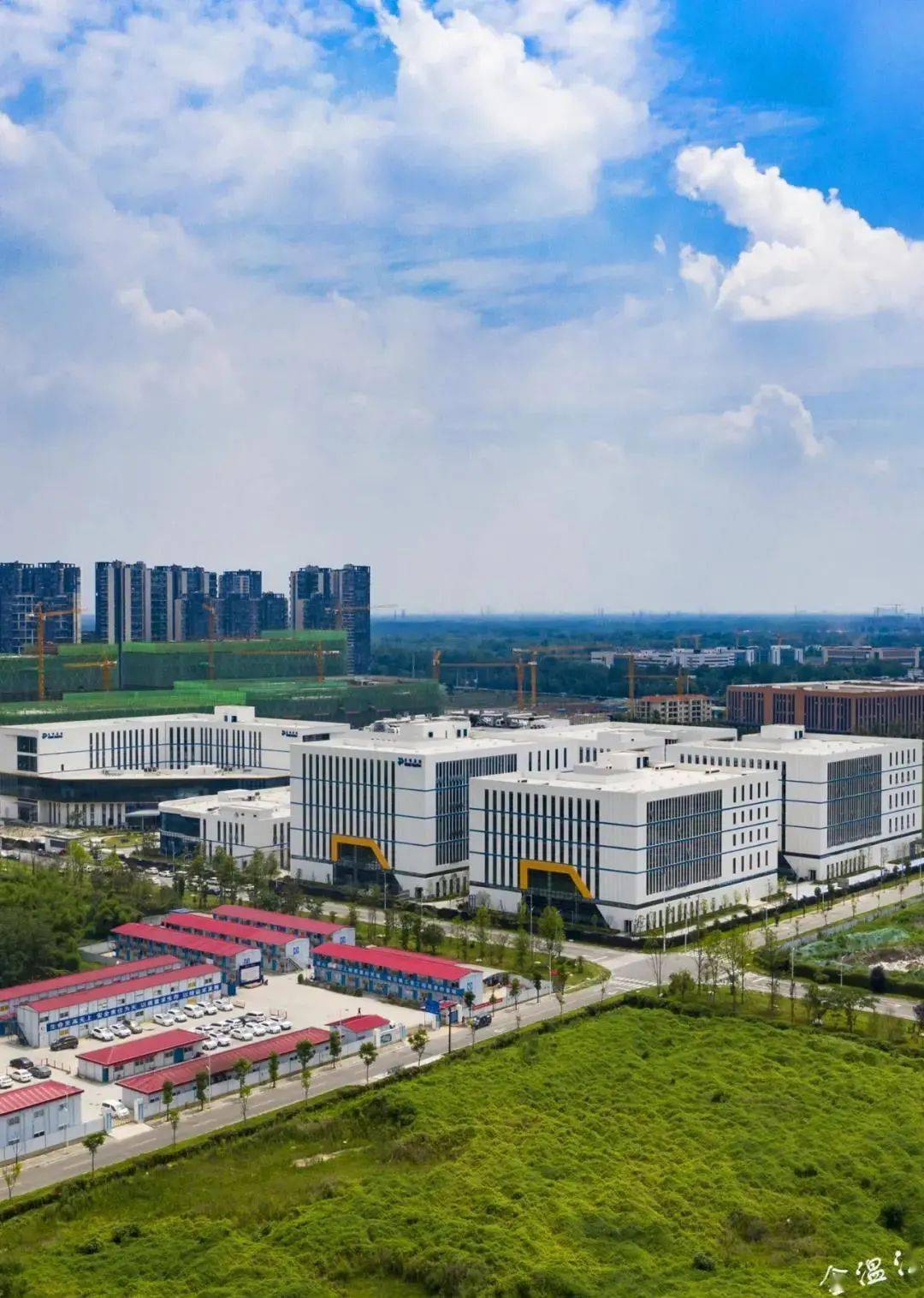 刚刚温江再获这个重磅荣誉