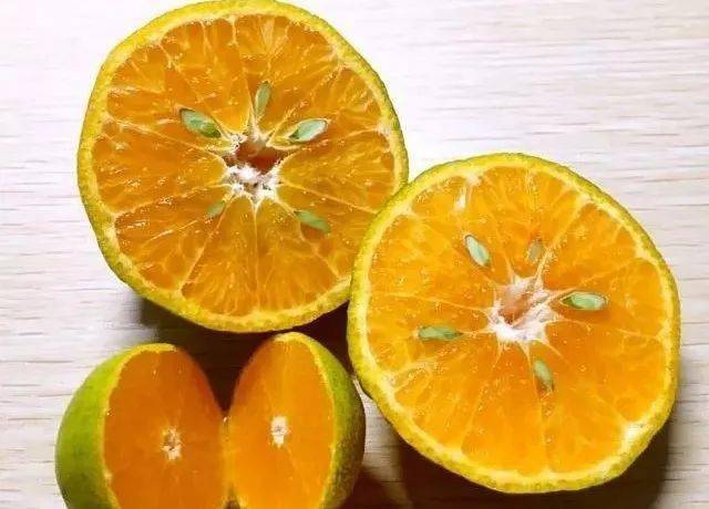 【1号老店直采果园】这种桔子一点酸味都没有你吃过吗?水润无渣,吃过就忘不掉-搜狐大视野-搜狐新闻