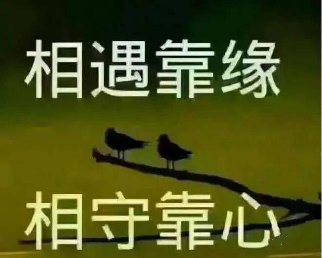 滚滚红尘和你有缘相遇,从此生命出现了奇迹,你的美丽让我如此迷恋,你