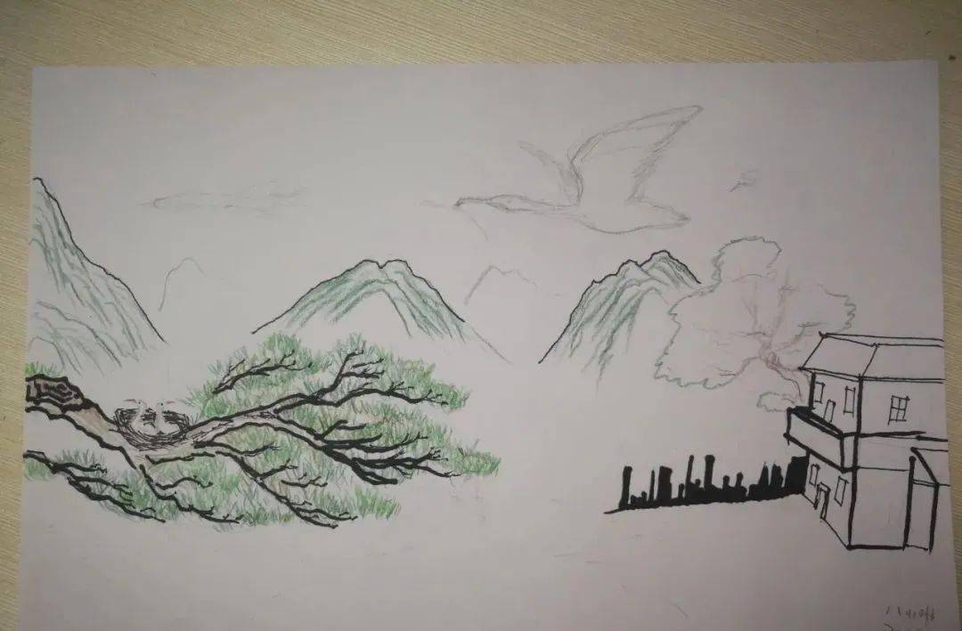 这项活动走进汉中,这届小朋友们,优秀!