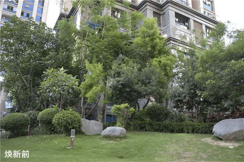 漳州西湖正荣府丨打造美好社区与居家生活_手机搜狐网