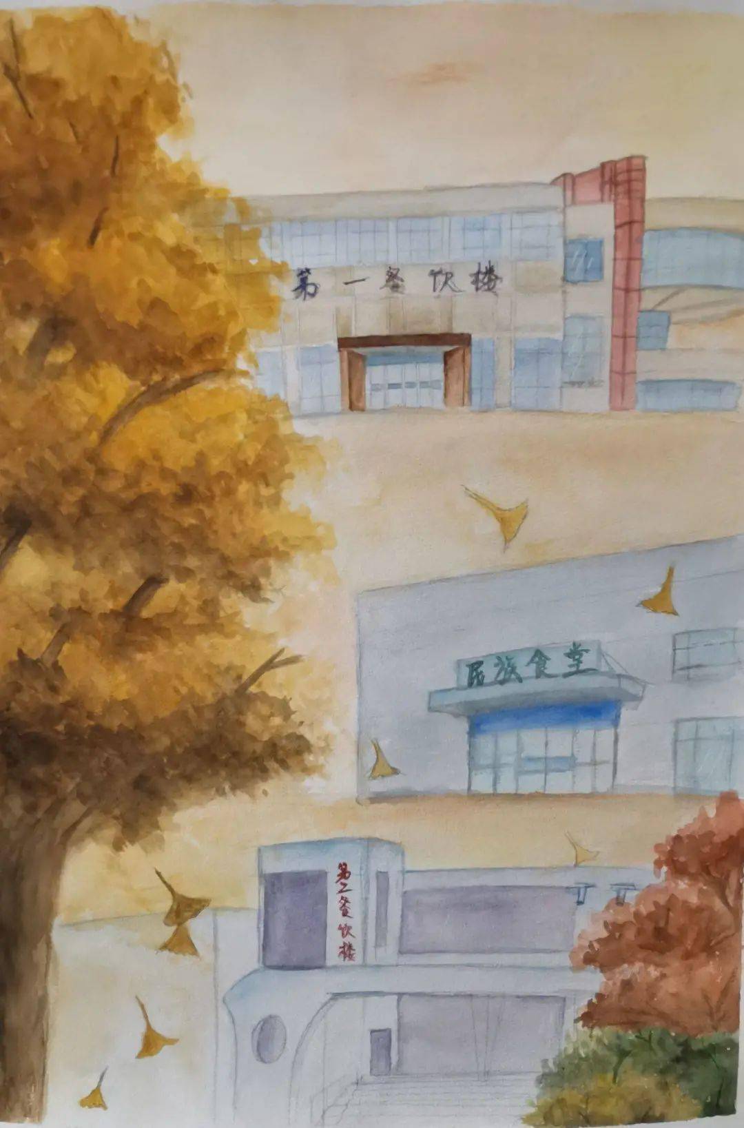 河北农业大学"农大印象"绘画大赛