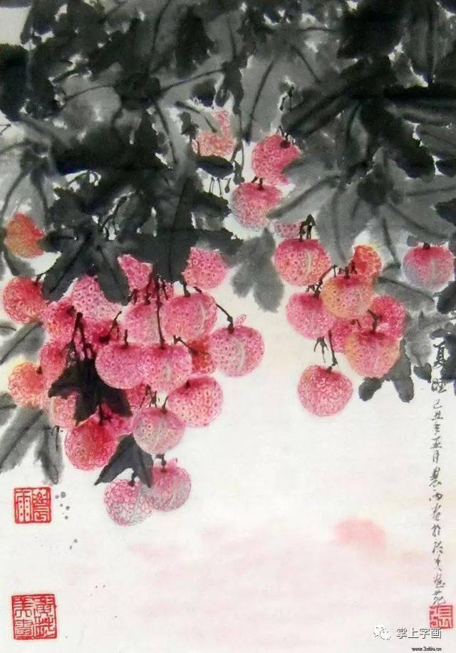 如何画荔枝