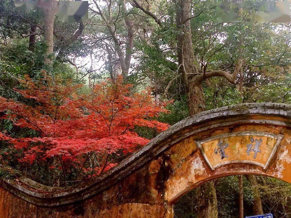 黃南古道徒步賞秋探訪深山古剎國清寺漫步秋風梯田腳踏醉人紅葉