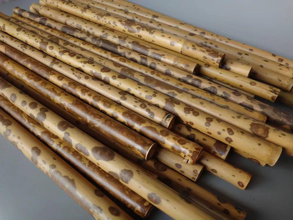 文玩人比较常见的8种斑竹大家能分清楚吗