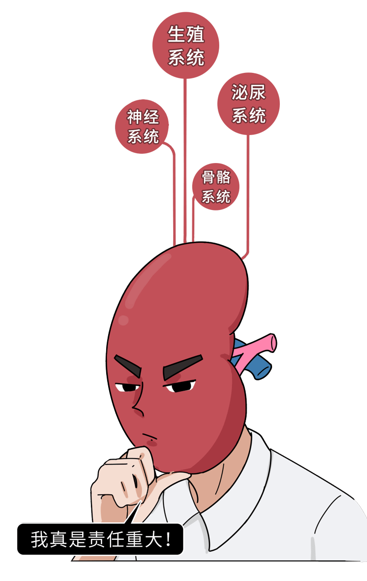 有这10个症状,说明你肾虚了(男女都得看)