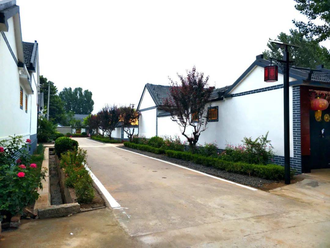 【人居环境整治系列报道9】庵上湖村:小积分撬动人居环境大提升