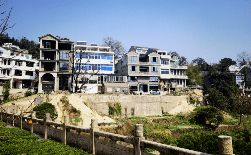 柿柿如意鹤盛镇西炉村67水果村里的甜蜜小康生活