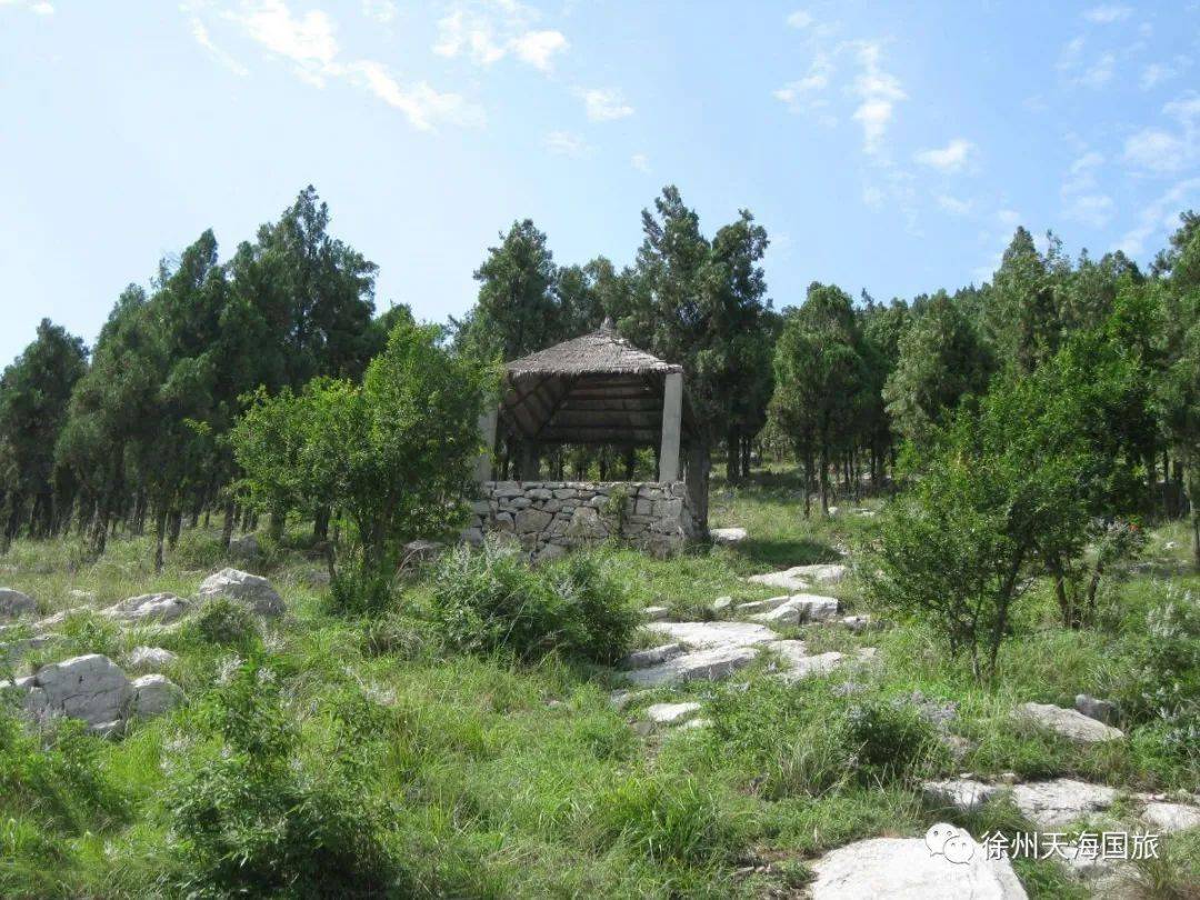 天海自組團愛心助農泉石幽奇峰巒疊嶂茱萸山大洞山茱萸寺梯田花海