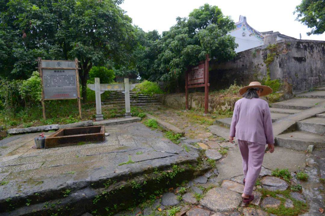 谷饶镇新寮村图片