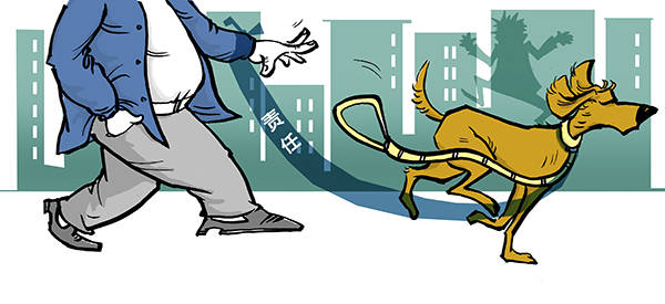 按规饲养合理约束文明养犬避免侵权