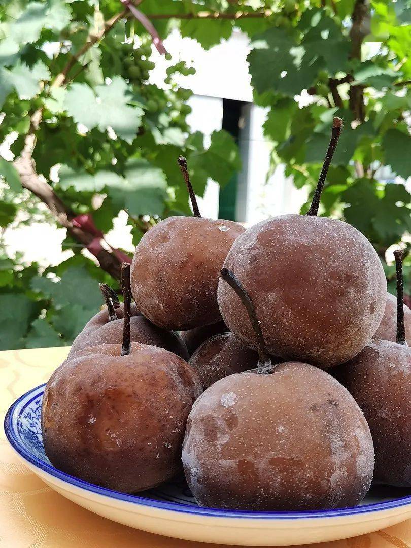 寻味兰州冰天雪地软儿梨瓜果城中第一奇