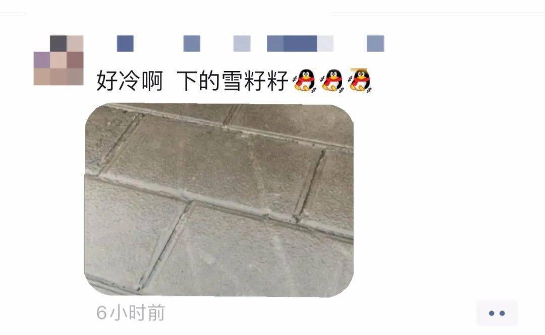 你知道吗今天来凤下雪米子了